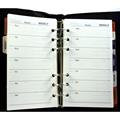 ORGANIZER C/LINGUETTA TSC PA4