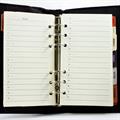 ORGANIZER C/LINGUETTA TSC PA4