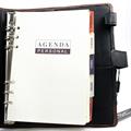ORGANIZER C/LINGUETTA GRANDE TSC