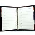 ORGANIZER C/LINGUETTA GRANDE TSC