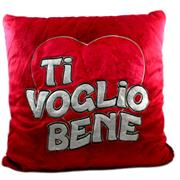 CUSCINO 40X40 RICAMO CERNIERA