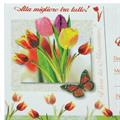 BIGLIETTI MAMMA 341614