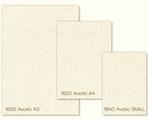 PERGAMENE GR.160 1820 AVORIO A4