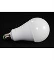 LAMPADINA LED 20W  6400K E27 A80 LUCE FREDDA